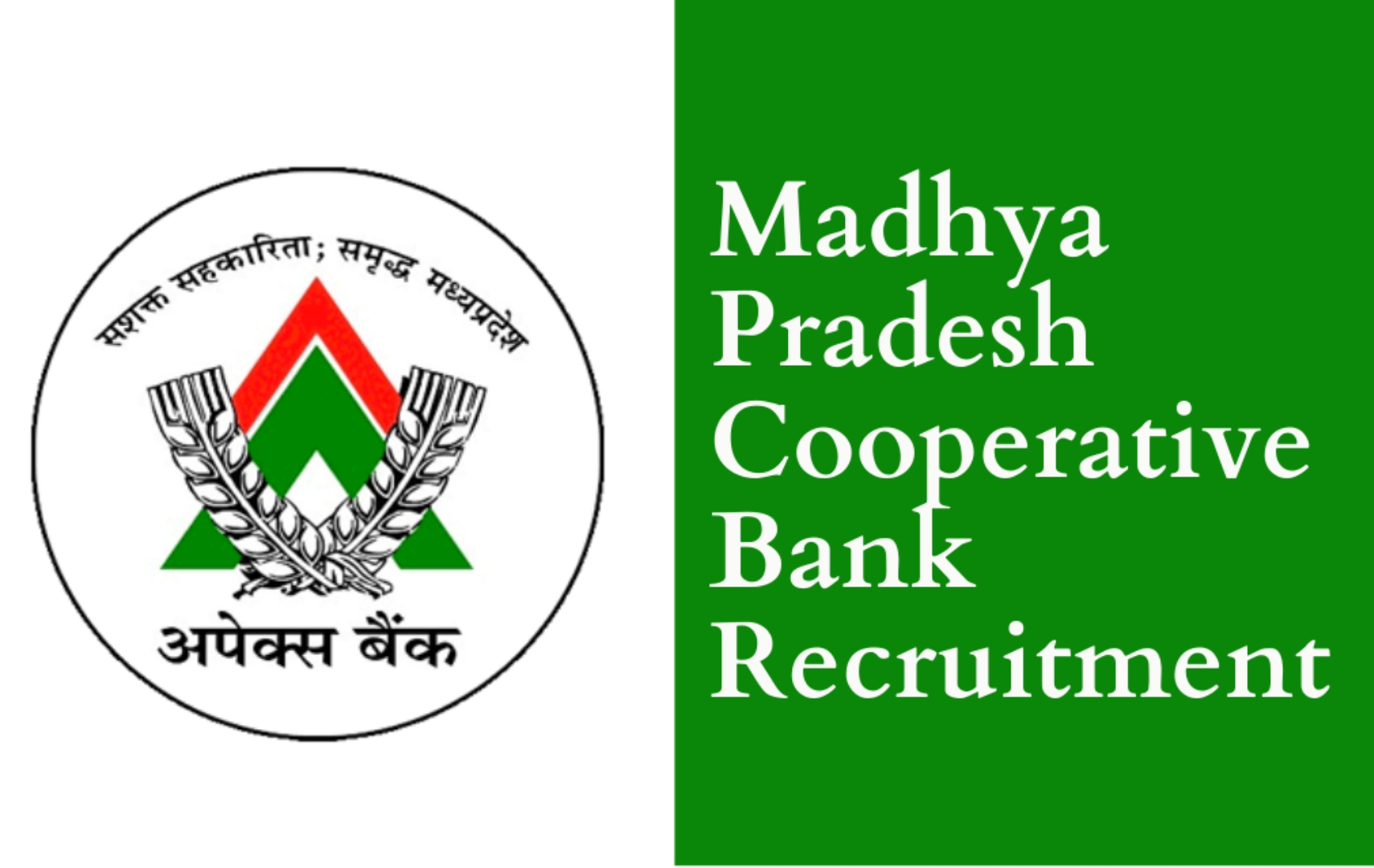 Cooperative Bank Madhya Pradesh Recruitment for Multiple posts | Apply online here!!