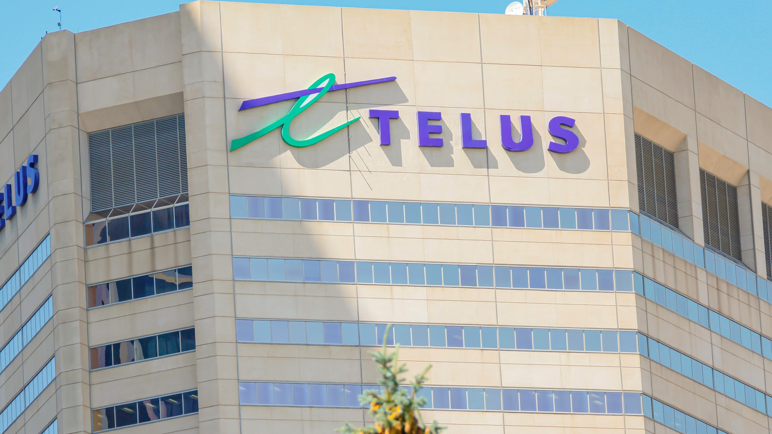 TELUS International Careers | Digital Solution | Apply here!